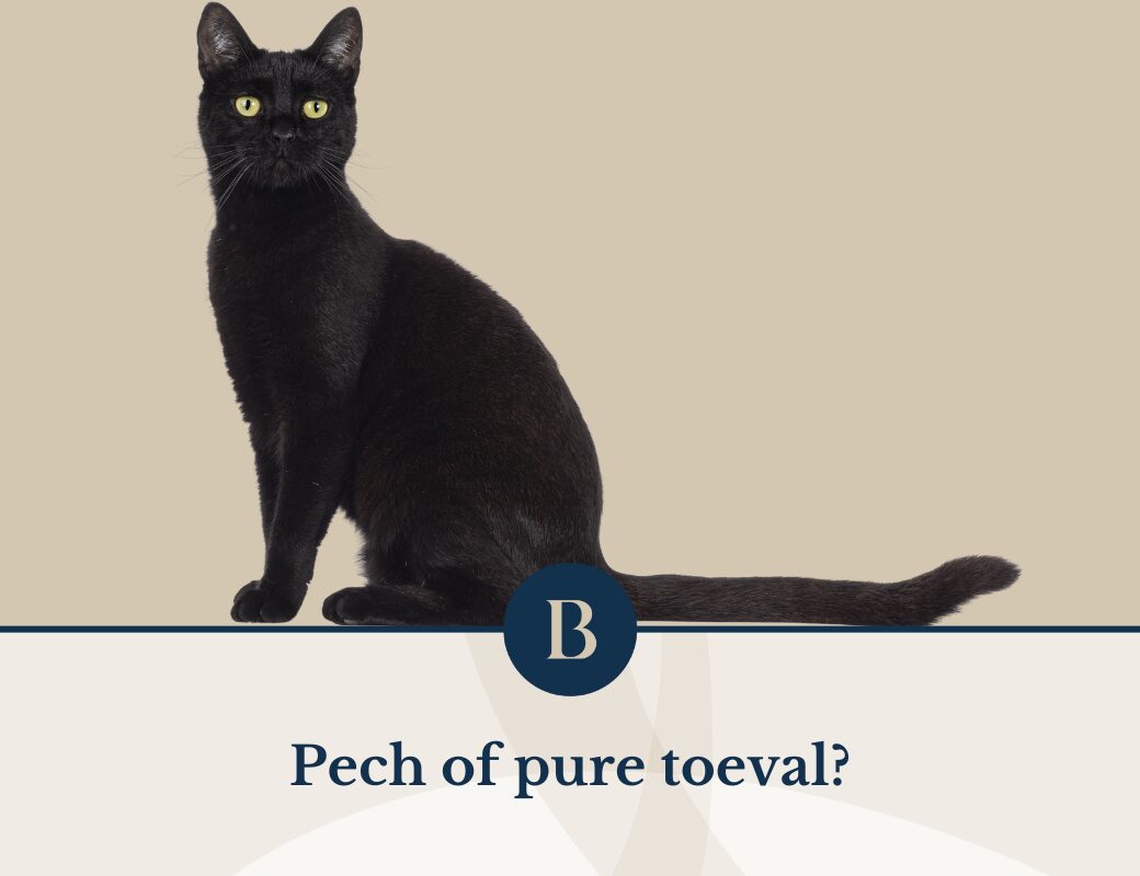 Vrijdag de 13e: pechdag of fabel?